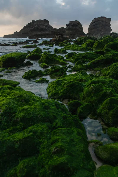 scenic view of coast green mossy stones near ocean in portugal 