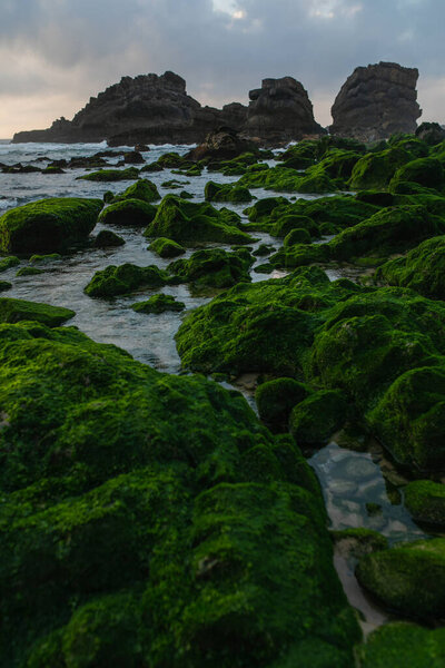 scenic view of coast green mossy stones near ocean in portugal 