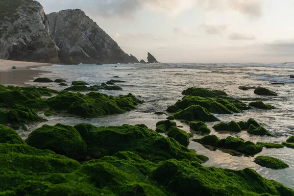 Vista Panorámica Bahía Con Piedras Musgosas Verdes Cerca Del Océano —  Fotos de Stock