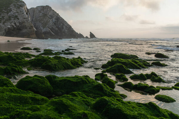 scenic view of bay with green mossy stones near ocean in portugal 