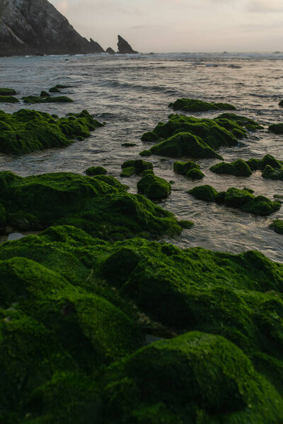 scenic view of green mossy stones near ocean in portugal 