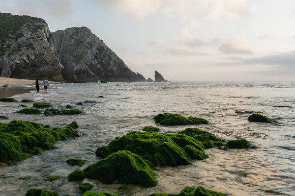 back view of couple walking on beach with green mossy stones in ocean on foreground