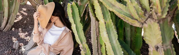 Brunette woman sitting near green succulents and obscuring face with straw hat, banner — Foto stock