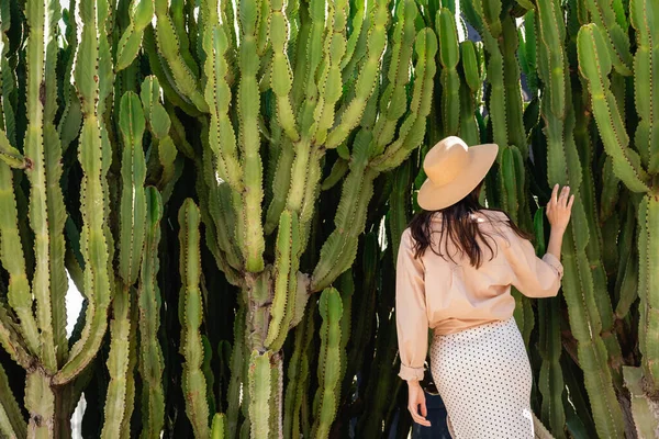 Вид сзади женщины в соломенной шляпе рядом с высокими кактусами — стоковое фото