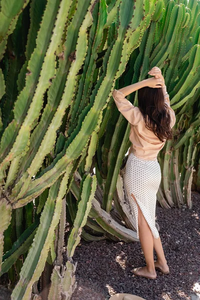 Вид сзади брюнетки, стоящей с поднятыми руками рядом с огромными кактусами — стоковое фото