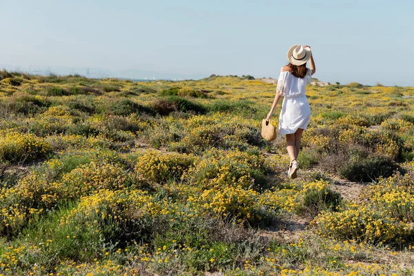 Rückansicht einer Frau in Kleid und Sonnenhut mit Handtasche beim Spazierengehen am Strand — Stockfoto