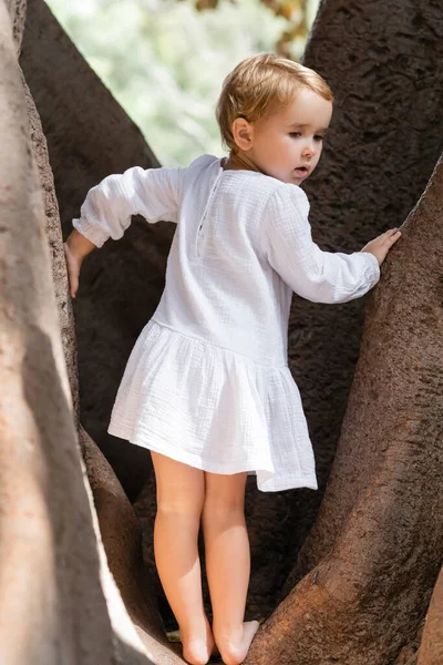 Toddler girl in white dress standing on tree outdoors — Stock Photo