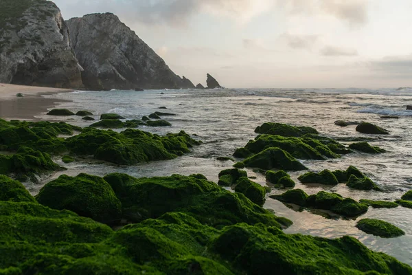 Vista panorámica de la bahía con piedras musgosas verdes cerca del océano en portugal - foto de stock