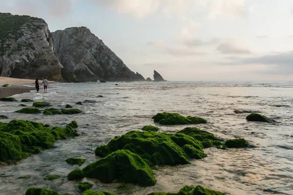 Vista posteriore di coppia che cammina sulla spiaggia con verdi pietre muschiate in mare in primo piano — Foto stock