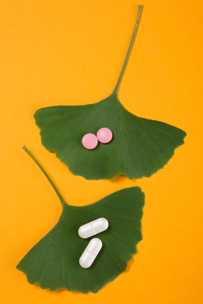 Duas Folhas Verdes Ginkgo Biloba Sobre Fundo Amarelo Pílulas Jazem — Fotografia de Stock