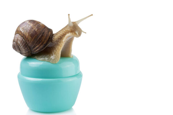 snail sitting on a turquoise container for cosmetics, the concept of cosmetics with mucin, on a white background, isolate, copy space