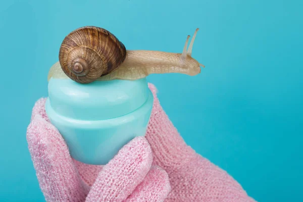 Concepto Cosméticos Con Mucina Caracol Mano Sostiene Contenedor Turquesa Gran — Foto de Stock