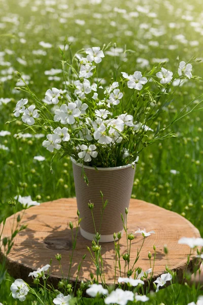 Linen Field Wooden Stand Cardboard Glass Bouquet White Flax Flowers — Stock Photo, Image