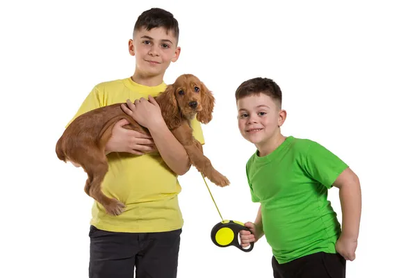 Dos Chicos Camisetas Colores Sobre Fondo Blanco Uno Los Niños — Foto de Stock