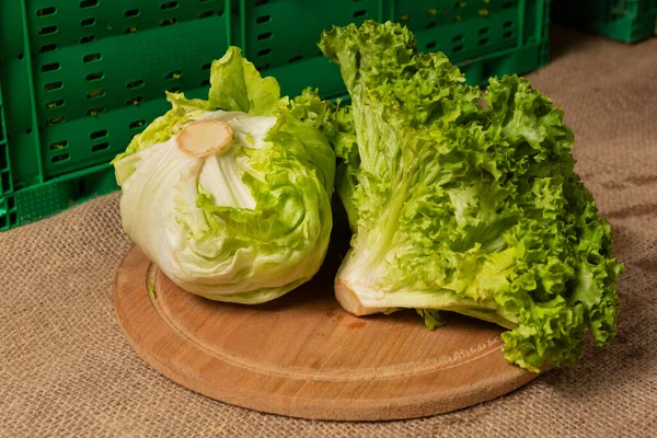 Grüne Salatblätter Und Kopfsalat Liegen Auf Dem Tisch Nahaufnahme Erntekonzept — Stockfoto