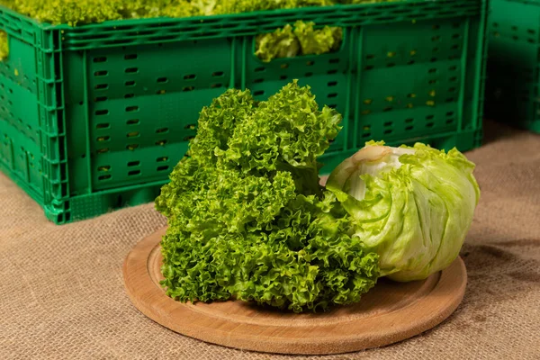 Sortimento Saladas Mesa Contra Fundo Recipientes Verdes Com Colheita Tiro — Fotografia de Stock