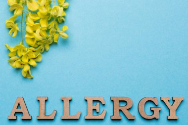 Alerjinin yazıtları çerçevenin altındaki mavi arkaplandaki harflerle kaplıdır, yukarıda sarı cilt bakımı, konsept, kopyalama alanı düzenlenmiştir.