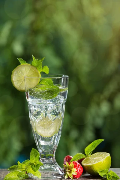 Tall Glass Refreshing Drink Addition Mint Lime Ice Background Greenery — Stock Photo, Image