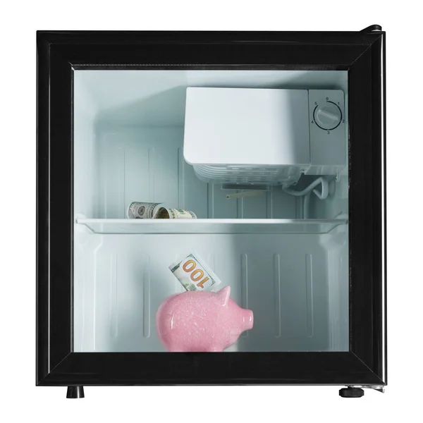 Refrigerador Pequeno Banco Piggy Rosa Lado Dele São Notas Dólar — Fotografia de Stock