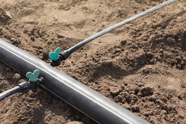 農地に灌漑システムの要素を滴下 クローズアップショット 選択的フォーカス — ストック写真