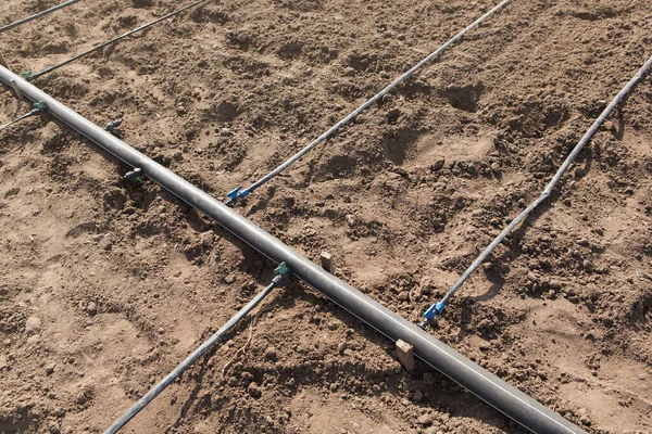 Colector Tuberías Para Sistema Riego Por Goteo Tierras Cultivo Primer — Foto de Stock