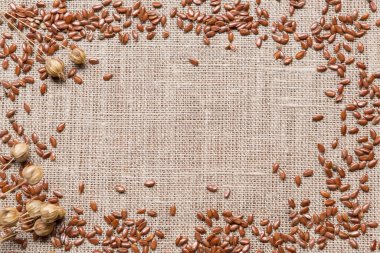 Flax kuru bitki ve dağınık tohumlar çuval bezi üzerinde, yakın çekim