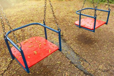 İlkbaharda parkta iki salıncak, kırmızı koltuk, ağaçlardan düşmüş şişkinlik, güneş ışığı, yakın çekim