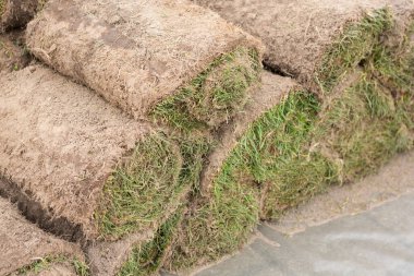 Bir yığın çimenli çimen, çimen tomarı, bahçıvanlıkta ya da peyzajda kullanılmaya hazır, yakın çekim.