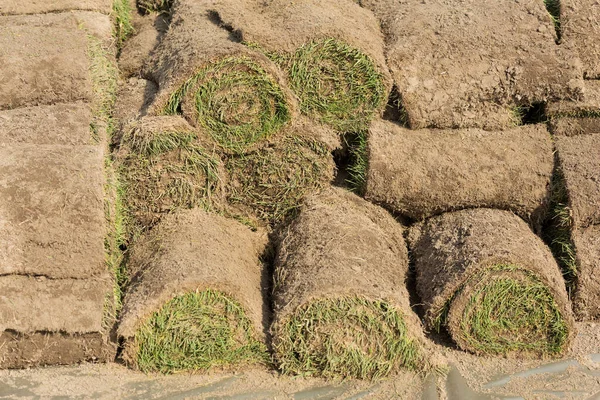 Bir tomar çimen, bir tomar çimen, bahçıvanlıkta ya da peyzajda kullanılmaya hazır, bir sürü ot rulosu.