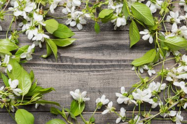 en az bahar kavramı, arka plan, beyaz çiçekler, kopya alanı gri panoları kiraz çiçek, dal üzerinde