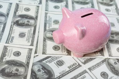 Pembe domuz kumbarası, para ve kredi konsepti üzerine kurulmuş dolarların üzerinde duruyor.