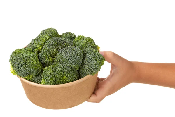 Mão Das Crianças Segura Recipiente Papelão Cheio Brócolis Conceito Alimentação — Fotografia de Stock