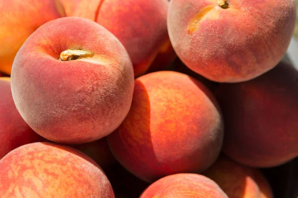 Detaylı olarak bir sürü olgun kırmızı şeftali, büyük bir meyve hasadı.