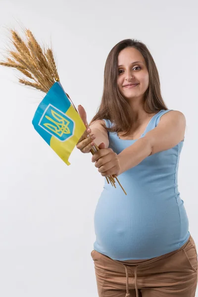 Młoda Ciężarna Kobieta Niebieskiej Koszulce Wyciągnęła Ręce Snopem Żółtej Pszenicy — Zdjęcie stockowe