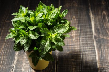 Eski ahşap tahtaların üzerinde sarı bir fincanda yeşil taze nane.