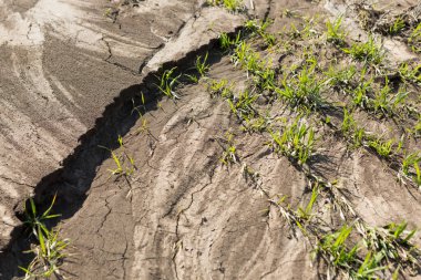 tarım arazisindeki toprak erozyonu, ekoloji kavramı
