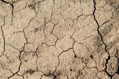 Kuruyan çatlaklarla kuru arazi, susuz toprak, kavram suyu ve ekoloji.