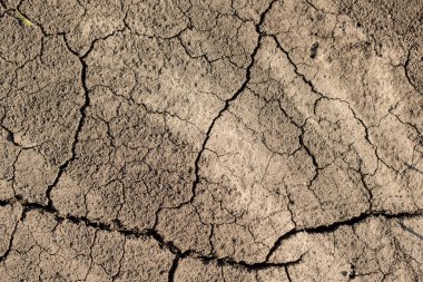 Kuruyan çatlaklarla kuru arazi, susuz toprak, kavram suyu ve ekoloji.