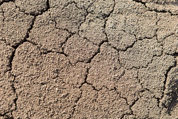 Dry Land Cracks Drying Soil Water Concept Water Ecology — Stock Photo, Image