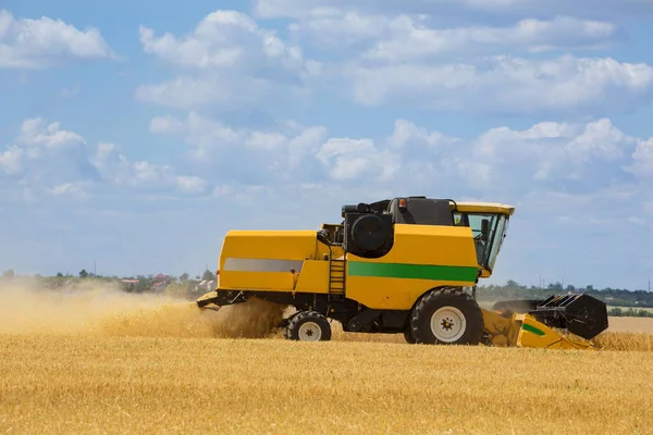 Hasat makinesi tarlada buğday keser, hasat makinesini kombine eder, hasat eder, yakın çekim yapar.