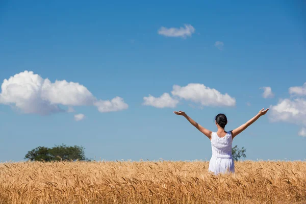 Woman Ripe Golden Wheat Field Hugging Nature Blue Sky Clouds Stock Image