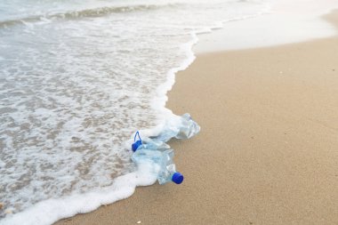 Ekoloji kavramı, deniz, çevre kirliliği iki plastik şişe