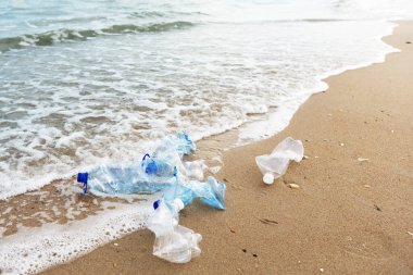 several empty plastic bottles lying on the seashore near the water, the concept of environmental safety and environmental pollution