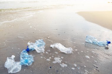 the concept of environmental pollution, a lot of plastic bottles carried by the wave on the sea beach, the threat of ecology