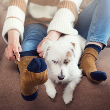 Kız bacaklarına çizgili çorap takıyor, köpek yakınlarda yatıyor, konfor kavramı.