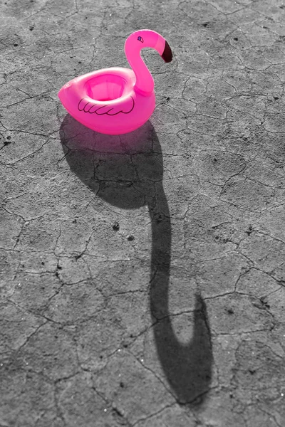 Pink Inflatable Flamingo Stands Dry Monochrome Ground Cracks Toy Casts — Foto de Stock