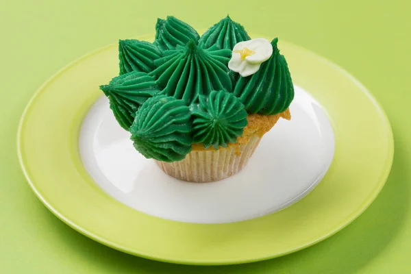 Cupcake Green Cream Form Cactus Plate Green Background Holiday Concept — Stock Photo, Image