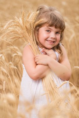 Sarı olgun buğday tarlasında mutlu küçük bir kız, buğday kulaklarını kendine bastırıyor, konsept