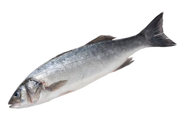 Verse Zilvervis Zeebaars Een Witte Achtergrond Rauwe Vis Isoleren — Stockfoto