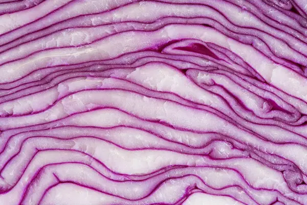 紫キャベツの食感波線マーロ撮影 — ストック写真